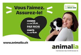 assurance animaux