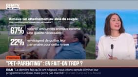 bfm assurance emprunteur