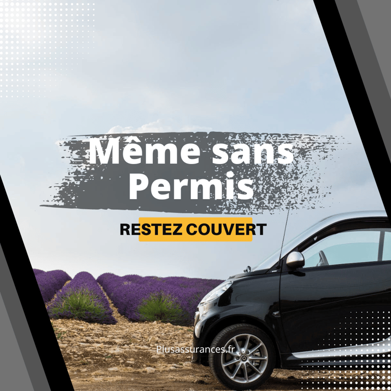 assurance de voiture sans permis